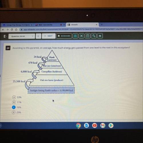 According to this pyramid, on average how much energy gets passed from one level to the next in thi
