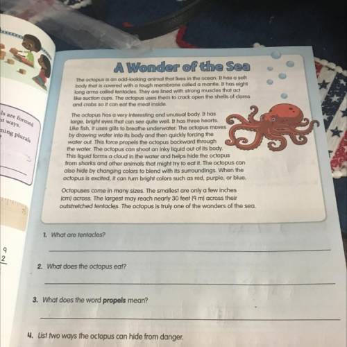 Need help with these 5 questions ASAP!

Number 5 is: Why does the author call the octopus a “wonde