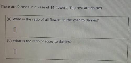 There are 9 roses in a vase of 14 flowers. The rest are daisies. (Plz look at picture and no wrong