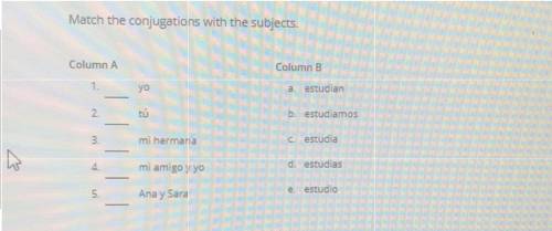 If you speak Spanish plz help me the question is in the picture above: