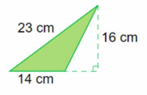 What is the area of the triangle in centimeters squared?