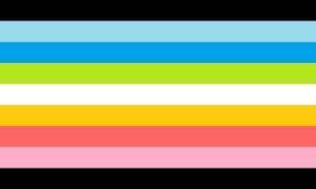 Can anyone tell me what is the queer flag?