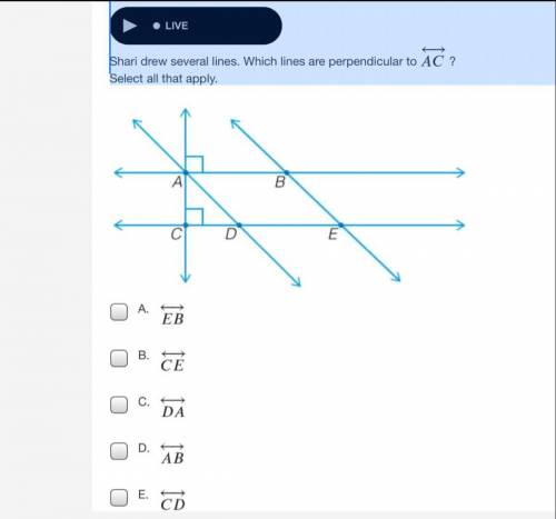 { →
Shari drew several lines. Which lines are perpendicular to AC ?
Select all that apply.