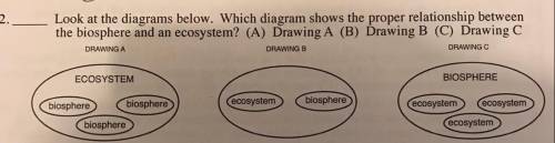 Look at the diagrams. Which diagram shows the proper relationship between the biosphere and an ecos
