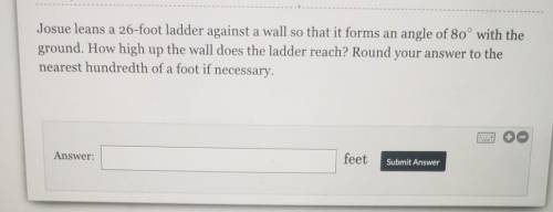 I need help on this practice question ​