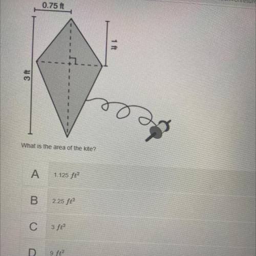What is the area of the kite?