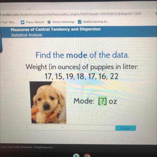 Find the mode of the data.

Weight (in ounces) of puppies in litter:
17, 15, 19, 18, 17, 16, 22
Mo