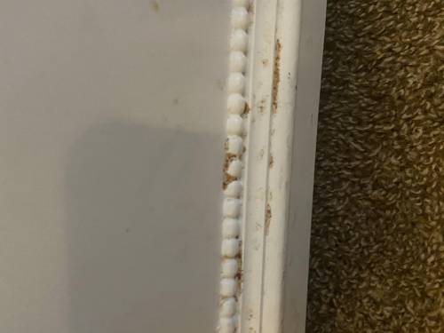 Is this from bed bug rust??