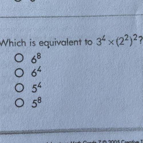 Can someone pls answer and explain this correctly?