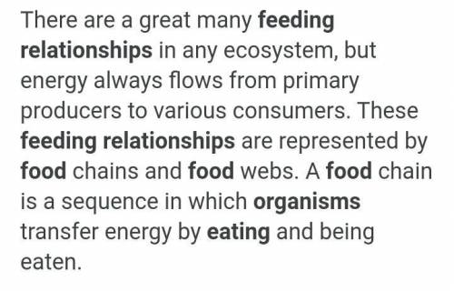 Feeding relationship that exist among organisms