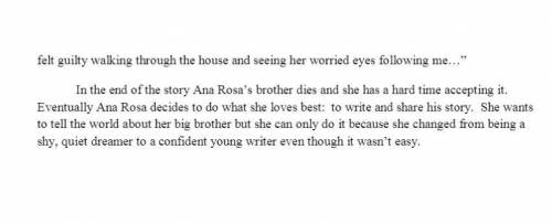 What's the summary of a book called Ana Rosa's Changes?