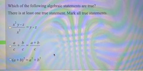 Which following algebraic statements are true