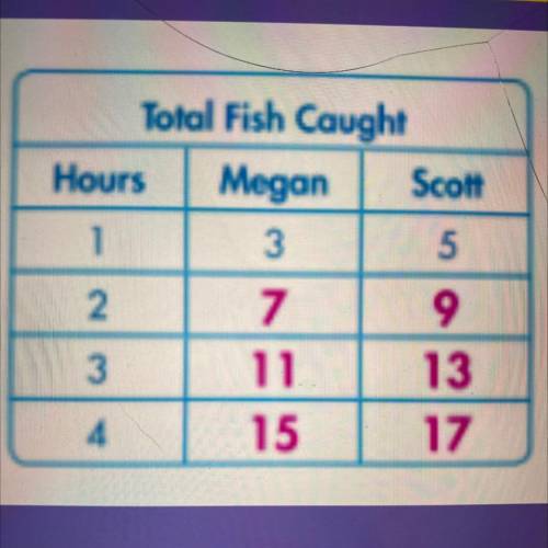 What relationship do you notice between the total number of fish each has caught after each hour?￼
