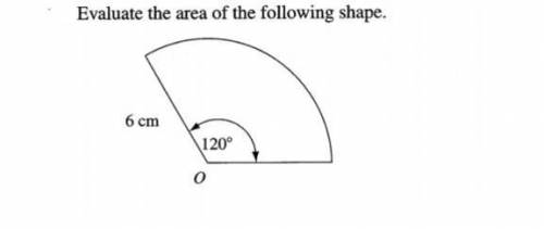 What is the area of the following shape ?someone plzz help