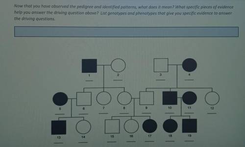 Now that you have observed the pedigree and identified patterns, what does it mean? What specific p