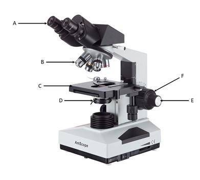 Label the parts of the microscope shown in the picture below using the following terms: coarse adju