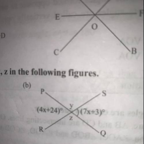 Find the value of x,y,z.
