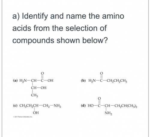 A) Identify and name the amino
acids from the selection of
compounds shown below?