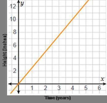 A graph has time (years) on the x-axis and height (inches) on the y-axis. A line goes through point