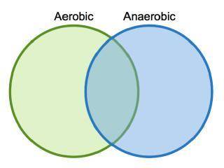 The Venn diagram compares aerobic respiration and anaerobic respiration. Which statement could be c