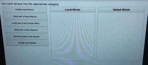 6 0 Sort each phrase into the appropriate category. include sea breezes Local Winds Global Winds bl