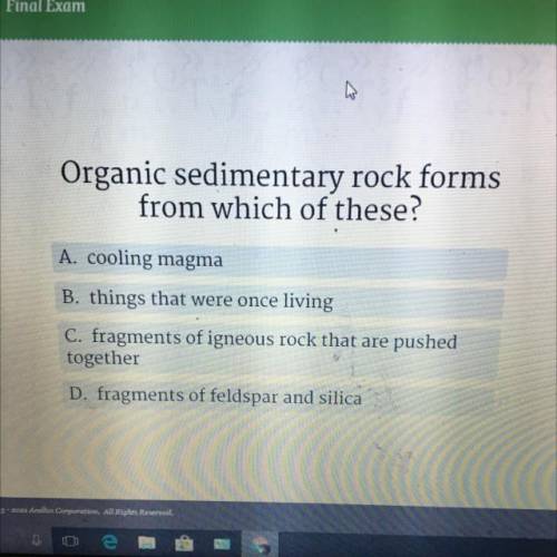 Organic sedimentary rock forms

from which of these?
A. cooling magma
B. things that were once liv