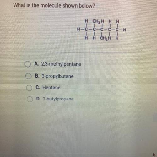 What is the molecule shown below?

A. 2,3-methylpentane
B. 3-propylbutane
C. Heptane
D. 2-butylpro