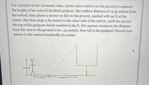 for a project in her geometry class, amira uses a mirror on the ground to measure the height of her