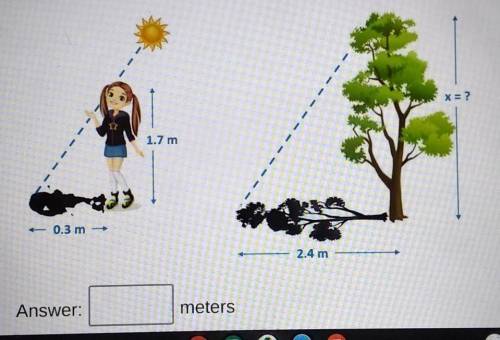 Suzi is 1.7 meters tall. At 2:00 pm, Suzi measures her shadow to be 0.3 meters long. At the same ti