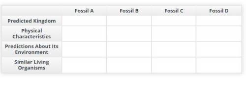 PLEase fill this out for me. I have no idea what I am doing

Closely examine each fossil. Then, co