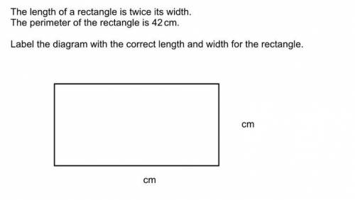 What is the correct length and width for the rectangle?