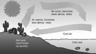 The diagram above shows how hot land areas near large bodies of water are cooled by a breeze off th