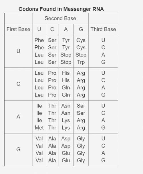 Use the following table to answer the question:

This table shows the codons found in messenger RN