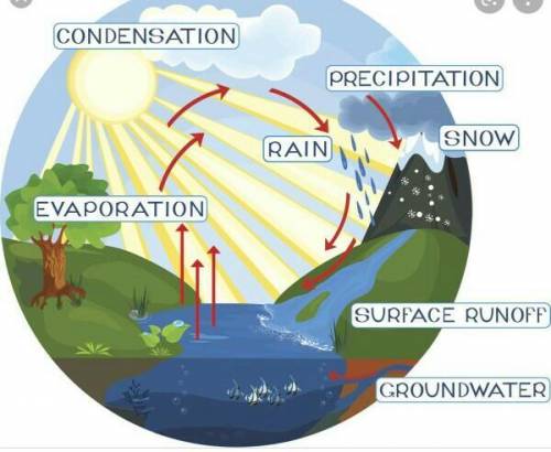 Explain water cycle with the help of diagram​