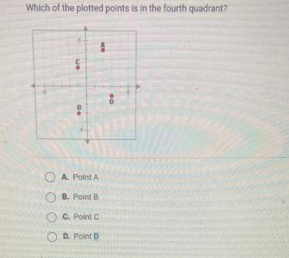 I NEED THE ANSWER ASAP PLZ ;C