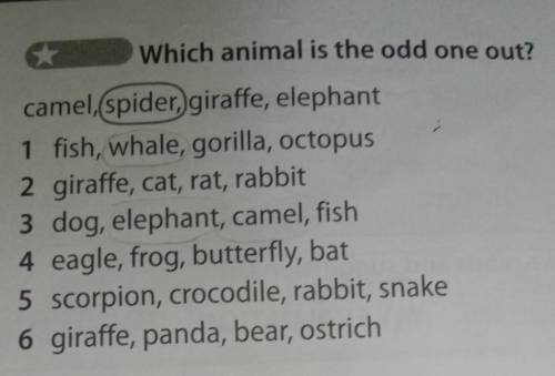 Which animal is the odd one out?​