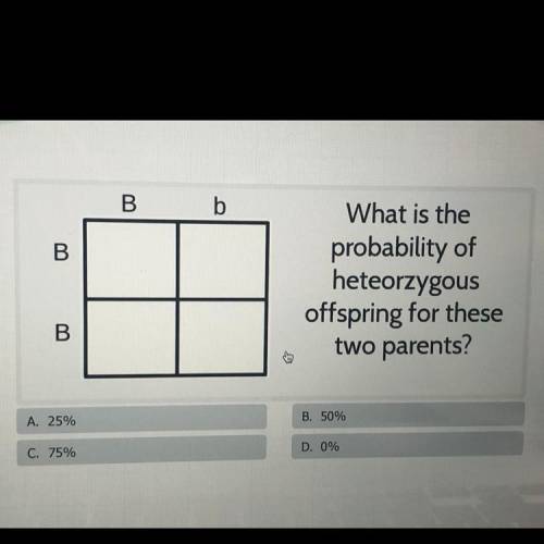 Help please, this is for a test and I would like to double check my answer with someone
