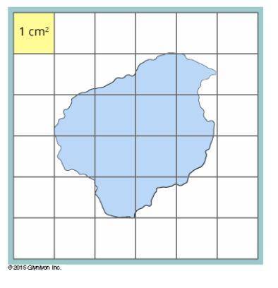 On the following figure, one square represents an area of 1 square centimeter. Estimate the area of
