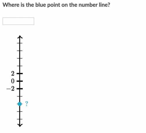 Can someone please help, I'll give out 20 points !

Question - Where is the blue point on the numb
