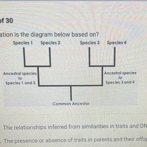 What information is the diagram below based on?

A. The relationships inferred from similarities i