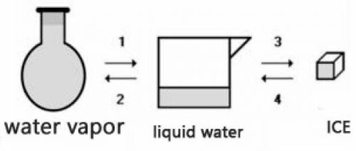 Consider the transformations a water sample undergoes without external pressure variation

(a) Tra
