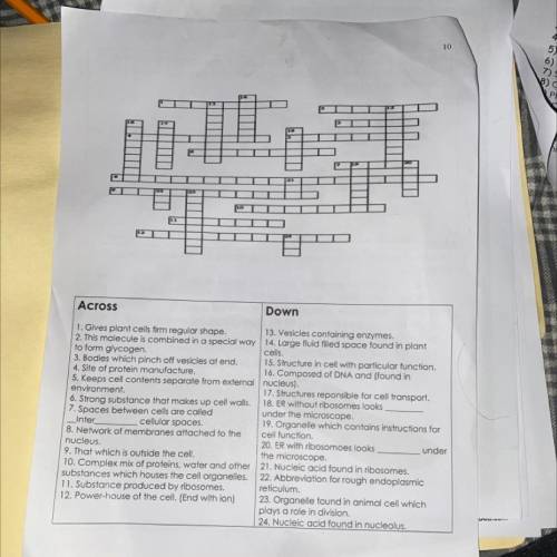 Help me with this, 25 POINTS Picture included* crossword puzzle