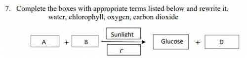 Complete the boxes with appropriate terms listed below and rewrite it.

water, chlorophyll, oxygen