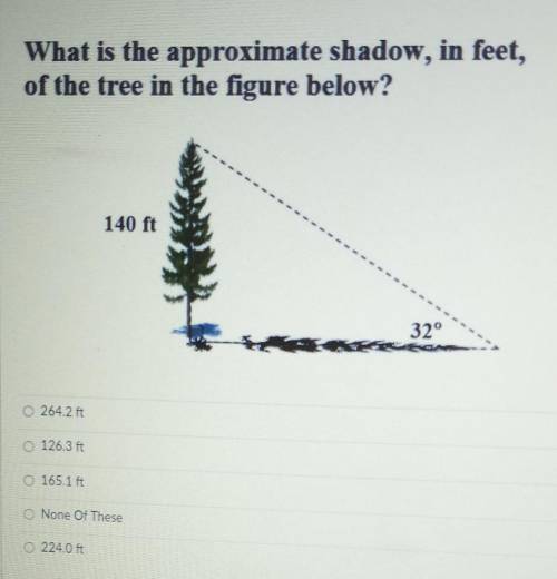 What is the approximate shadow in feet of the tree in the figure below.​