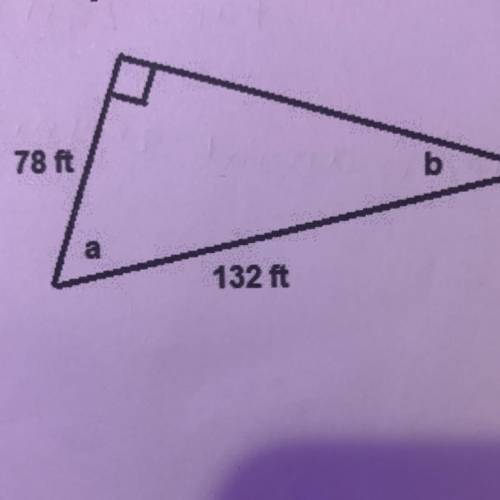 Determine the unknown angle measures, to the nearest degree, in the diagram provided.