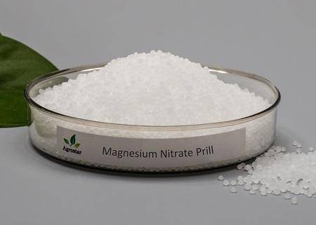 Chemical formula of magnesium nitrate​
