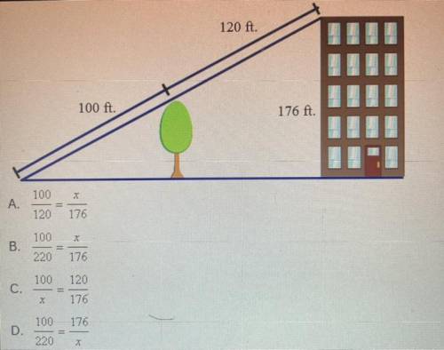Use the information in the diagram, set up a proportion to solve for the height of the tree