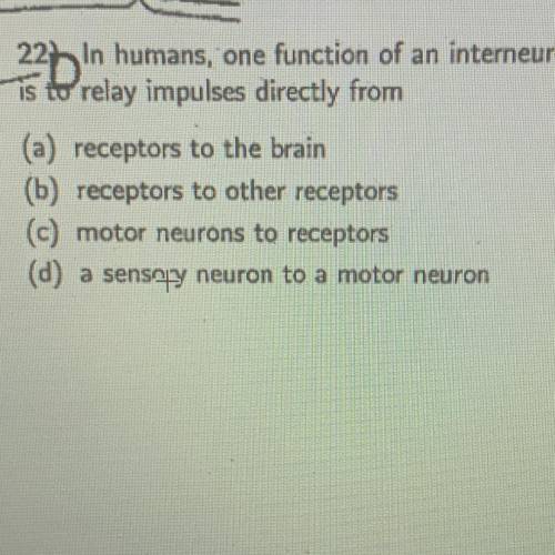 In humans, one function of an inter neuron is to relay impulse directly from …