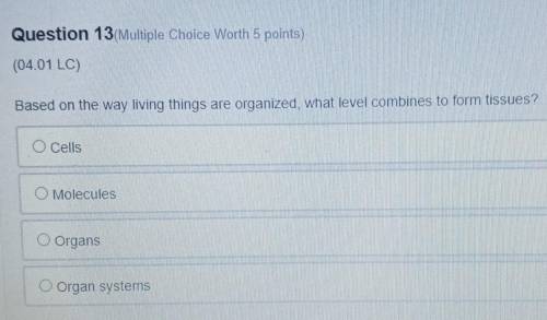 Question 13(Multiple Choice Worth 5 points) (04.01 LC) Based on the way living things are organized