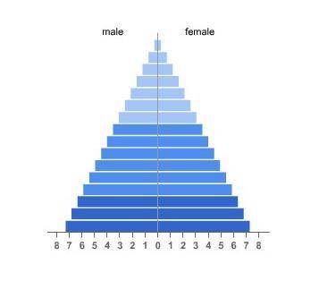 Which prediction is true based on this population pyramid?

The population is not growing.
The pop